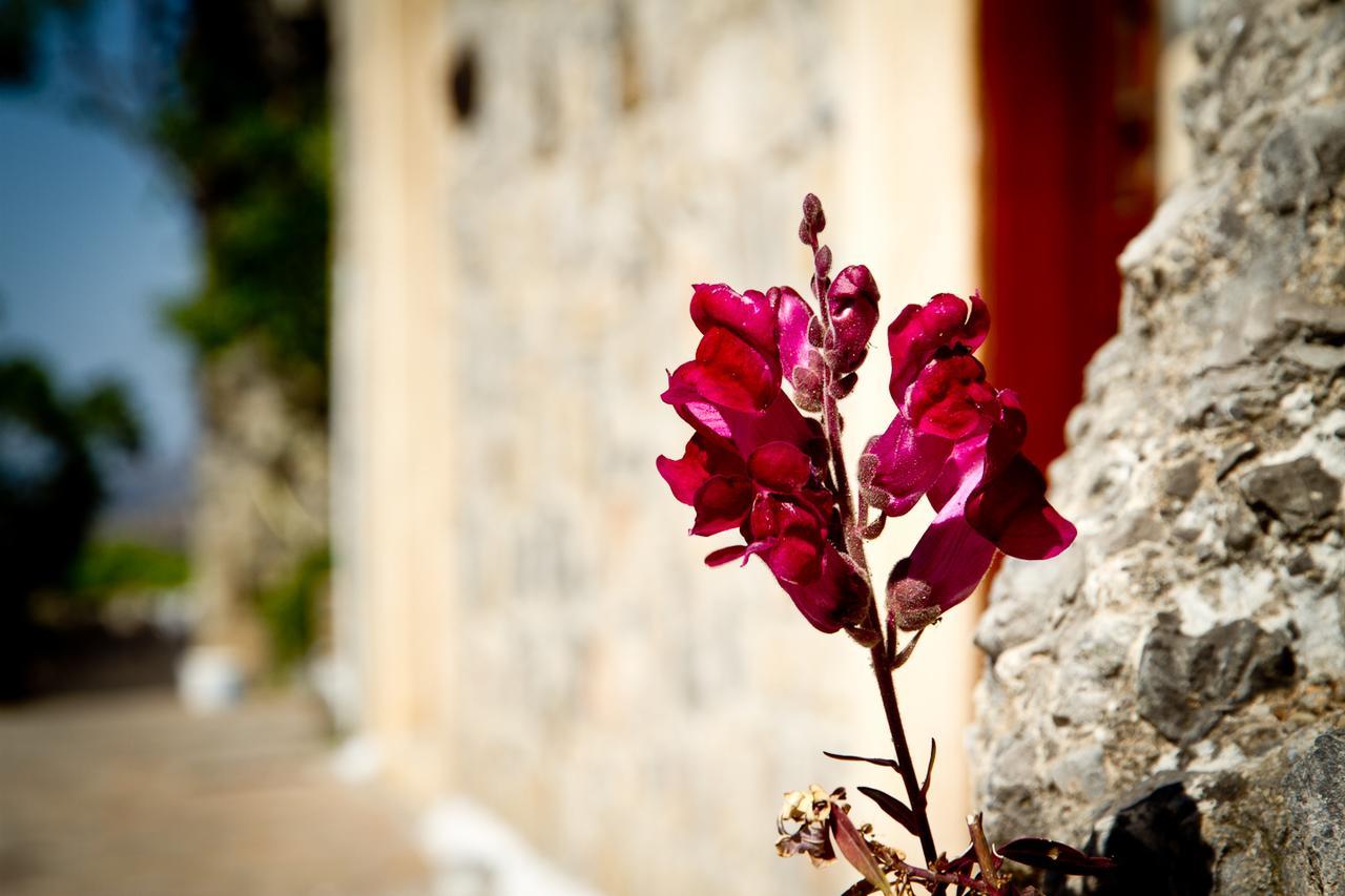Monastiraki Traditional Guest House Monastirakion  Экстерьер фото